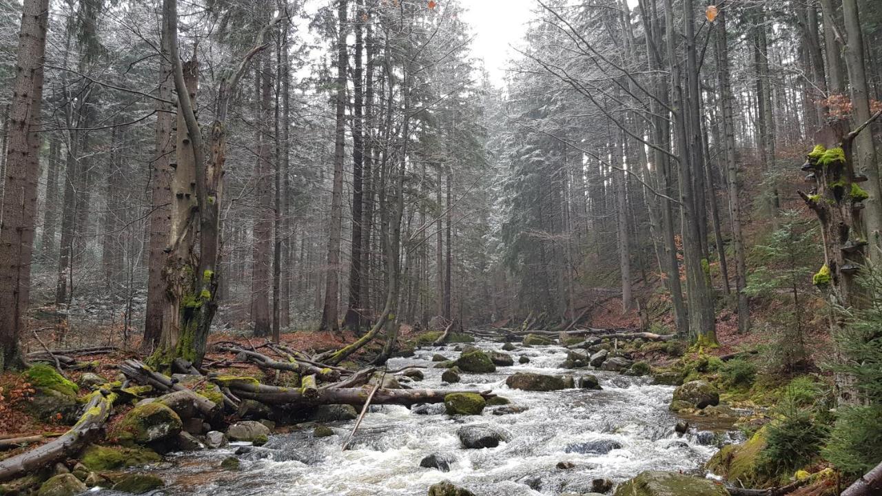 Villa Leika - Panoramablick Am Riesengebirge มิสลาโกวิเซ ภายนอก รูปภาพ